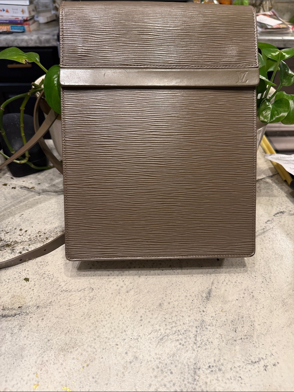 Louis Vuitton Epi Structured Vertical Crossbody - Taupe Brown